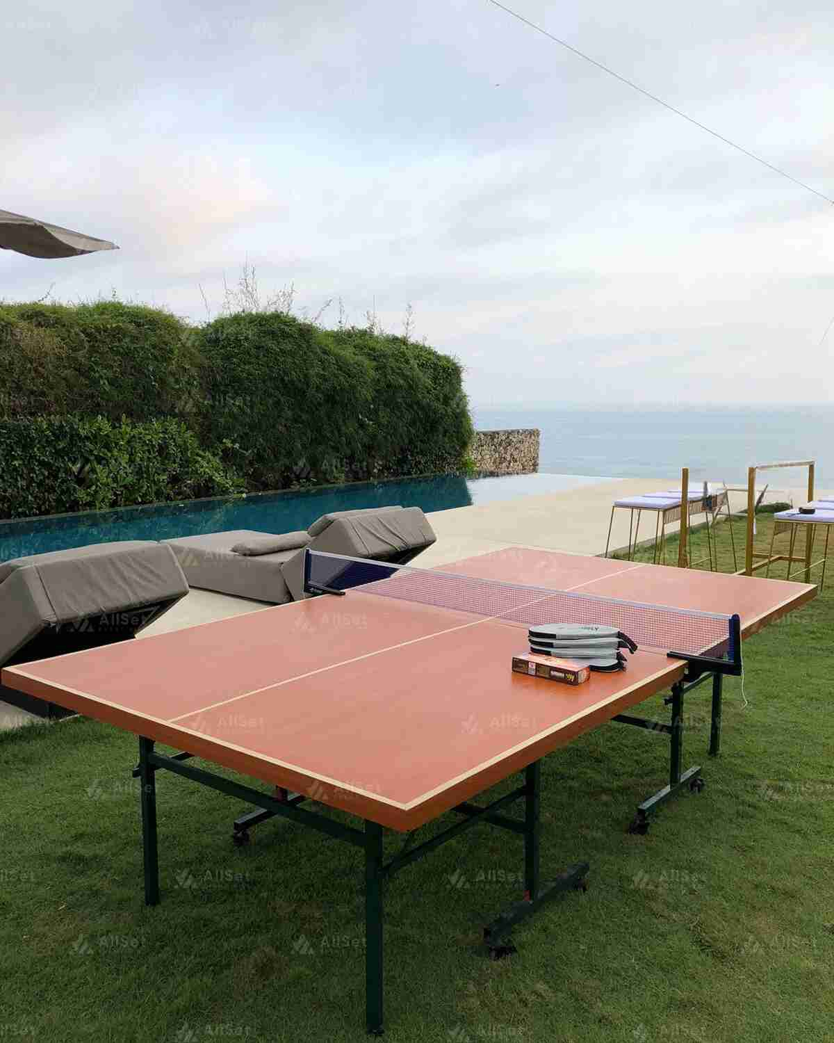 Ping Pong Table